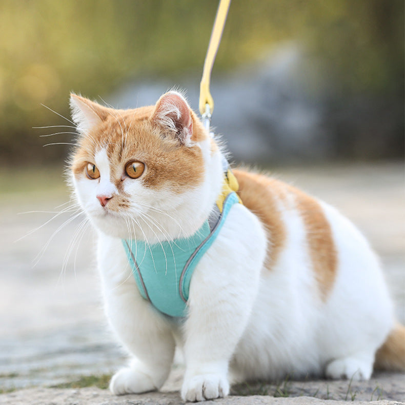 Vest-Style Chest Harness Cat Walking Leash