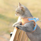 Vest-Style Chest Harness Cat Walking Leash
