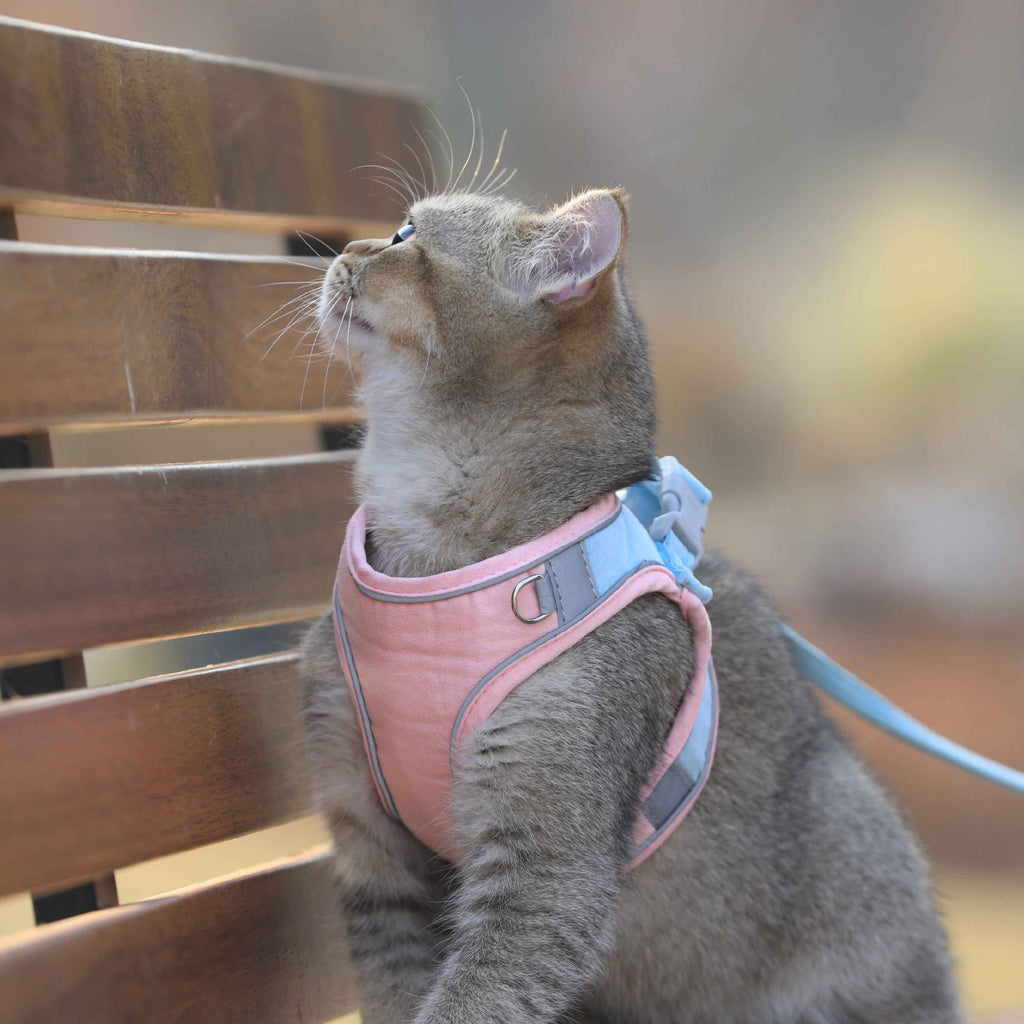Vest-Style Chest Harness Cat Walking Leash