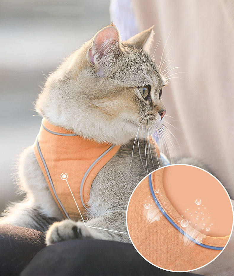 Vest-Style Chest Harness Cat Walking Leash