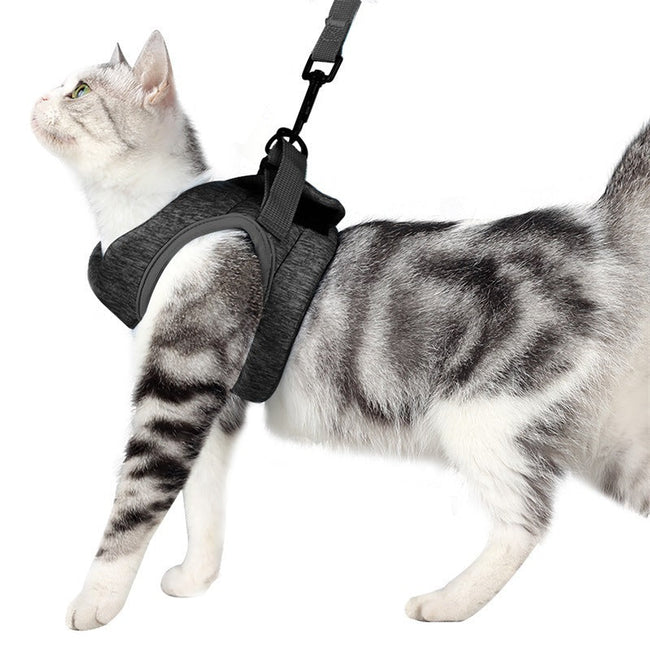 Chest Harness Cat Leash Vest Hover Image