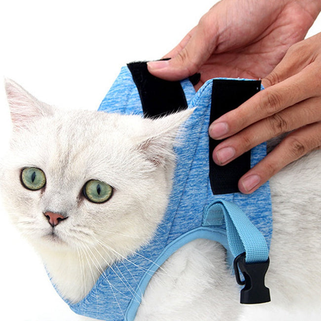 Chest Harness Cat Leash Vest Main Image