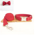 Pet Traction Collar and Leash
