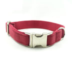 Pet Traction Collar and Leash