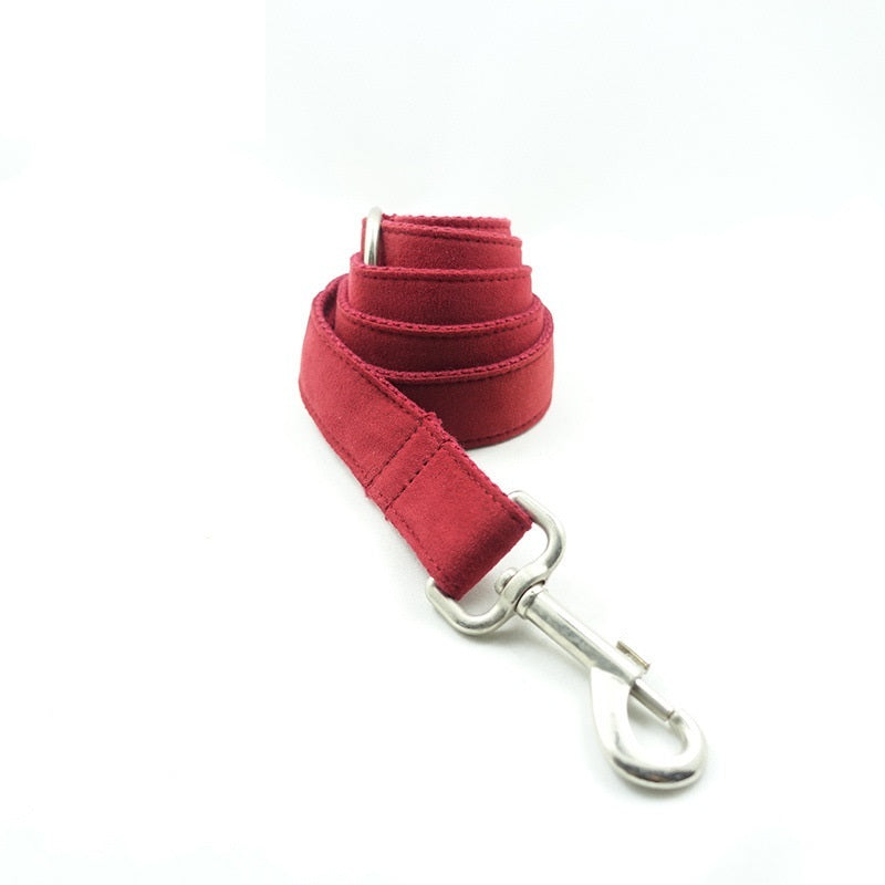 Pet Traction Collar and Leash