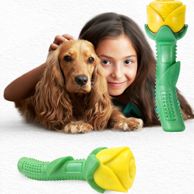 Dog Teether Pet Supplies Hover Image