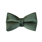 Green Velvet Bowtie Collar and Dog Leash Set