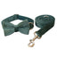Green Velvet Bowtie Collar and Dog Leash Set