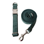Green Velvet Bowtie Collar and Dog Leash Set
