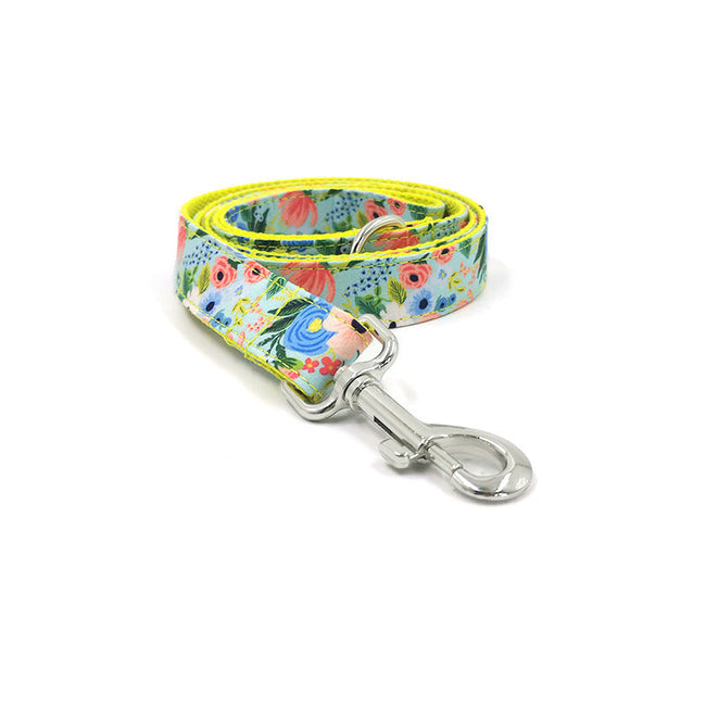 Dog Leash and Collars Pet Collar and Leash Set Main Image