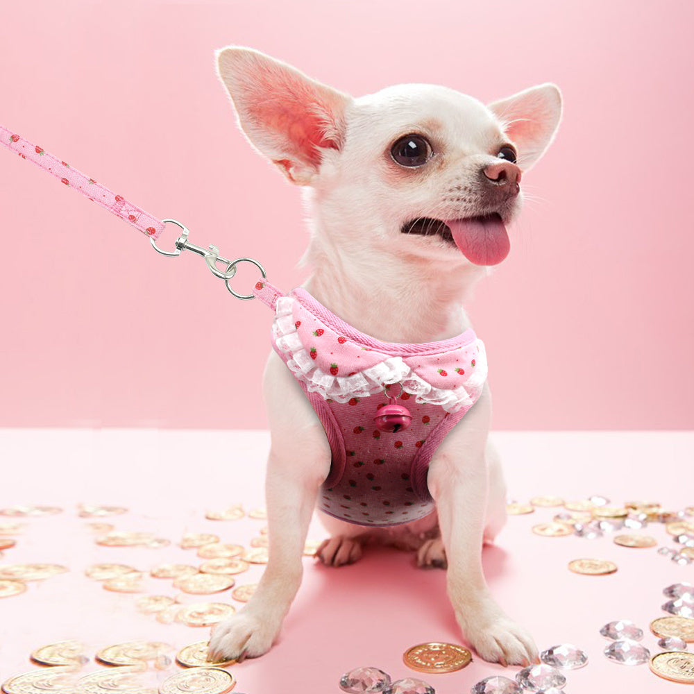 Small Pet Chest Harness and Leash