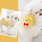 Cute Pet Harness and Leash Set