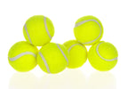 Dog Automatic Interactive Ball Launcher