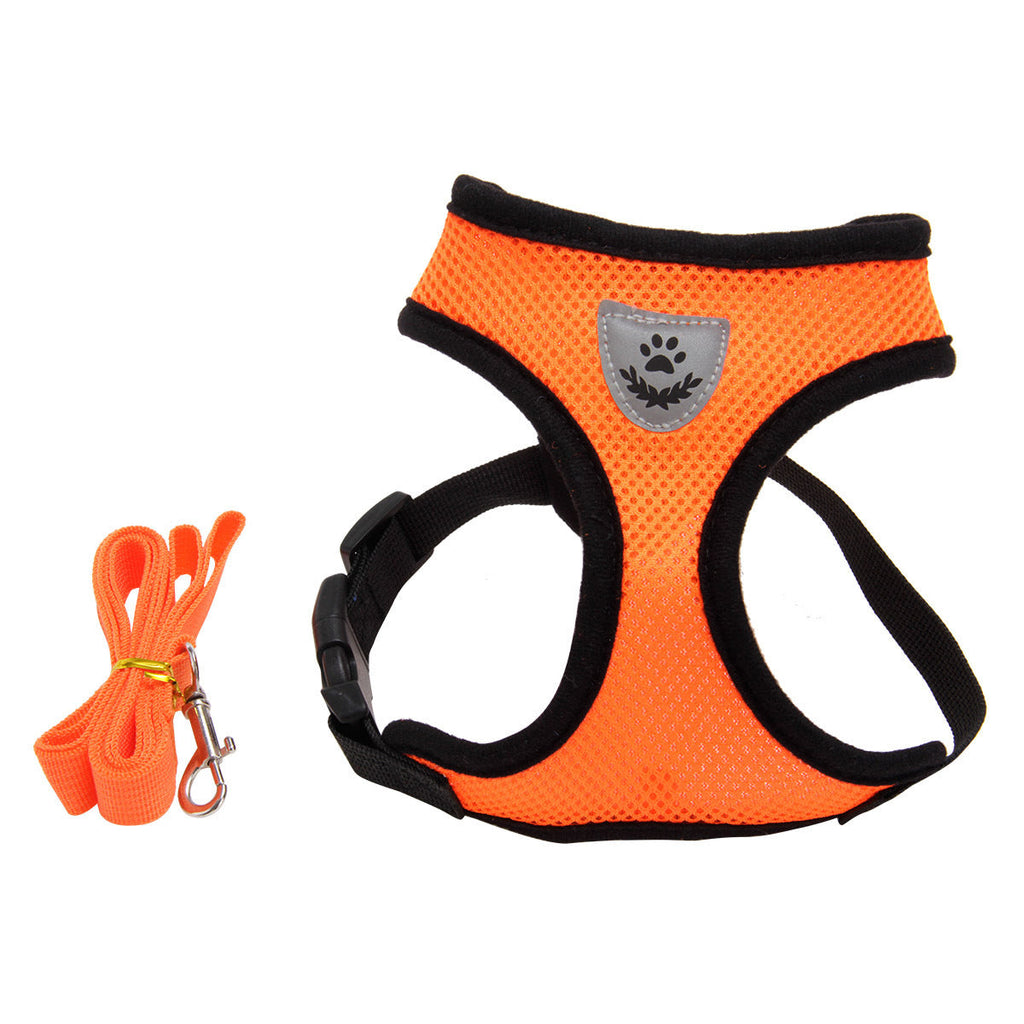 Dog Harness and Leash Fashionable High-end Multi-colour