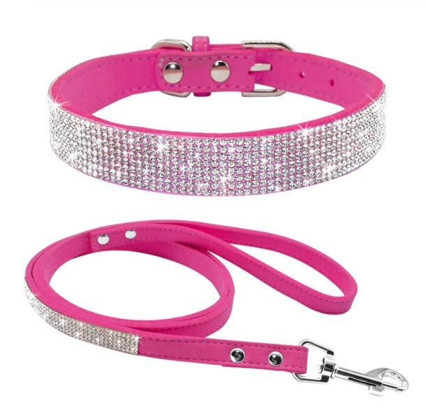 Dog Collar Dog Leash1