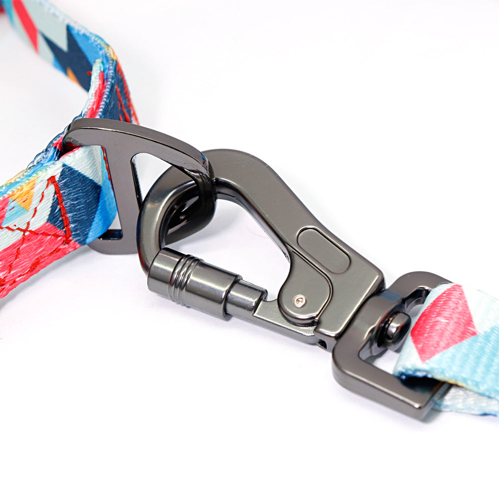 Dog Collar & Leash