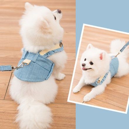 Cute Pet Harness and Leash Set