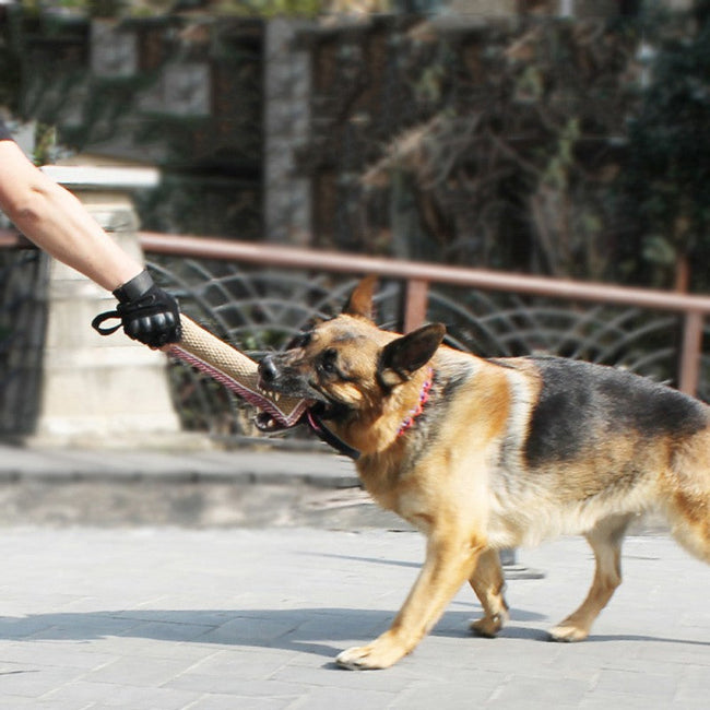 Dog Biting Training Toy Main Image