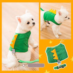 Cute Pet Harness and Leash Set