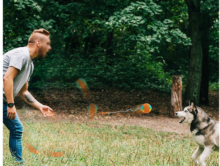 ABS Chew Resistant Throwing Ball Toy