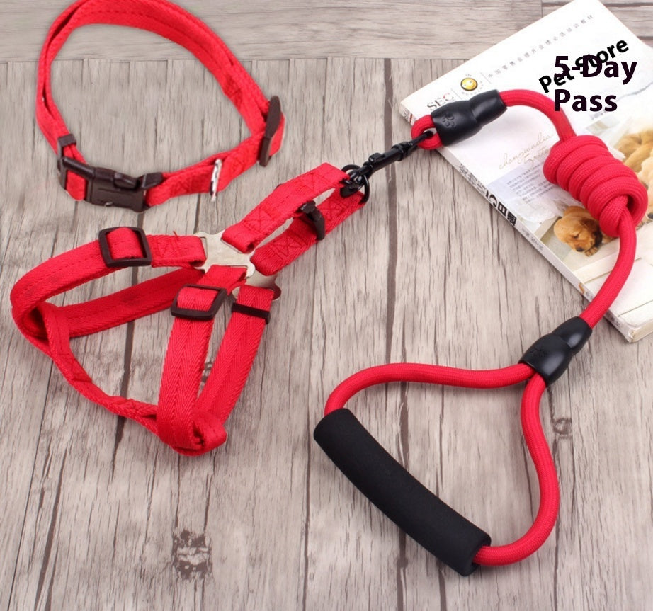 Dog Collar and Leash