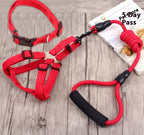 Dog Collar and Leash