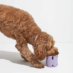 Dog Tennis Ball Cup Natural Rubber