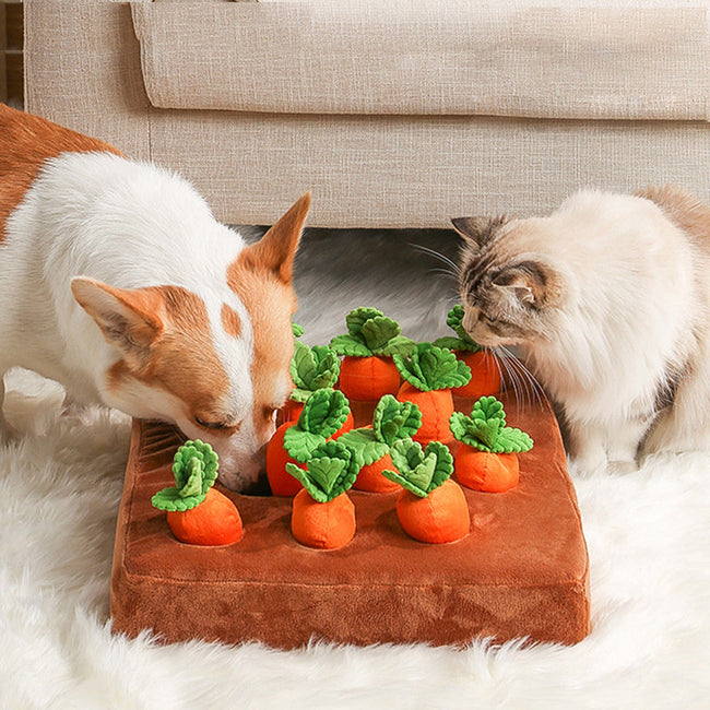 Carrot Plush Chew Toy Snuffle Mat Main Image
