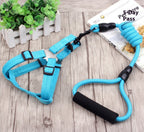 Dog Collar and Leash