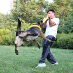Pet Training Toy  Dog Pull Ring