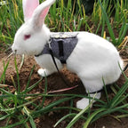 Small Animal Harness Vest and Leash Rabbit Harness Dress