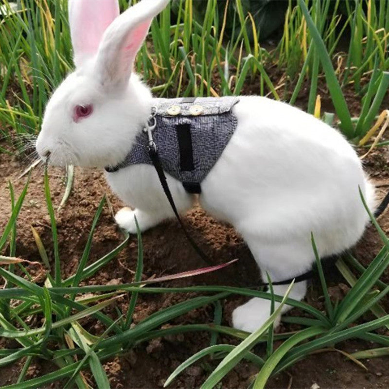 Small Animal Harness Vest and Leash Rabbit Harness Dress