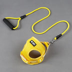Dog Leash and Harness