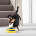 Dog Sounding Disc Toy