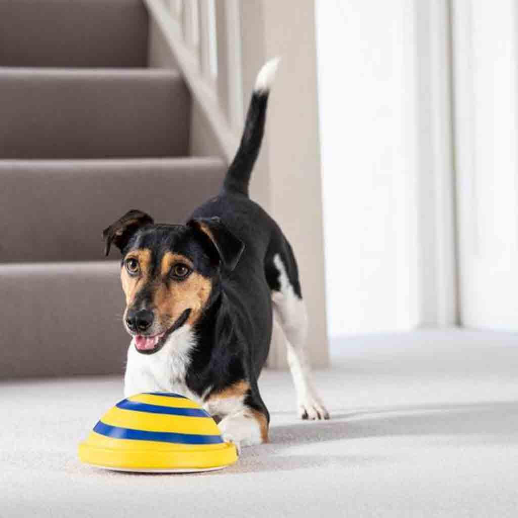 Dog Sounding Disc Toy