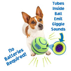 Dog Molar Toy