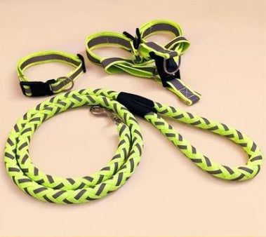 Pet Leash and Collar Set