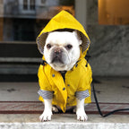 Dog Raincoat Pet Clothes Dog Clothes Rain Water