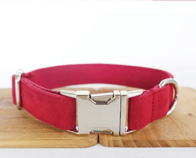 Pet Traction Collar and Leash Main Image