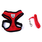 Pet Car Seat Belt Harness & Leash