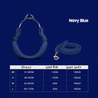 Pet Harness with Leash