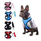 Pet Car Seat Belt Harness & Leash