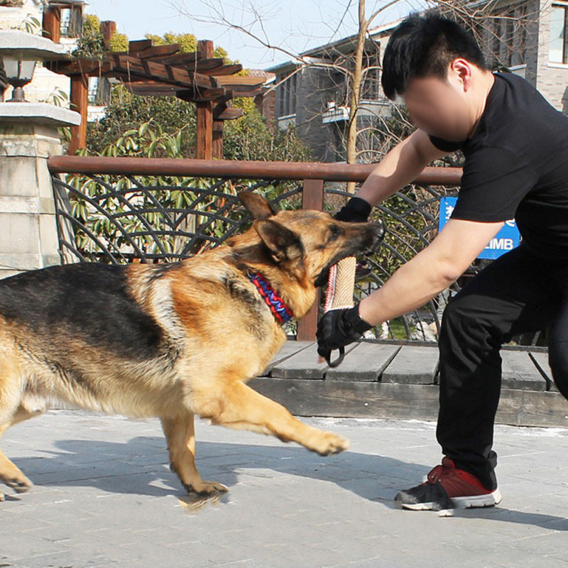 Dog Biting Training Toy