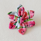 Printed Dog Collar and Leash
