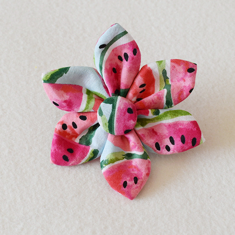 Printed Dog Collar and Leash
