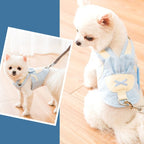 Cute Pet Harness and Leash Set