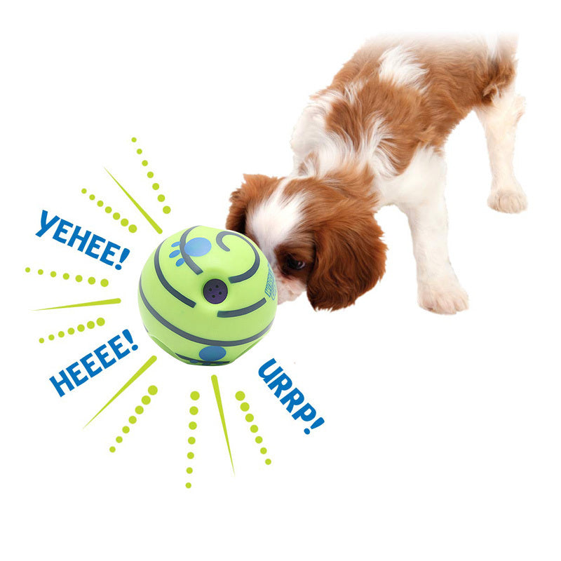 Dog Molar Toy