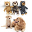 Squeaky Sound Dog Toys - Bear Shape Bite Resistant Molar Chew Toys