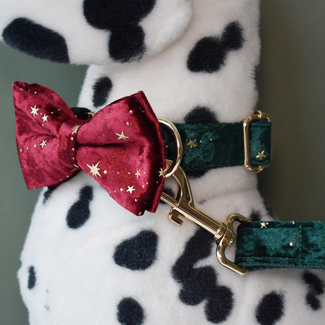 Pet Collar Bow Tie Dog Collar Hover Image