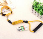 Dog Collar and Leash